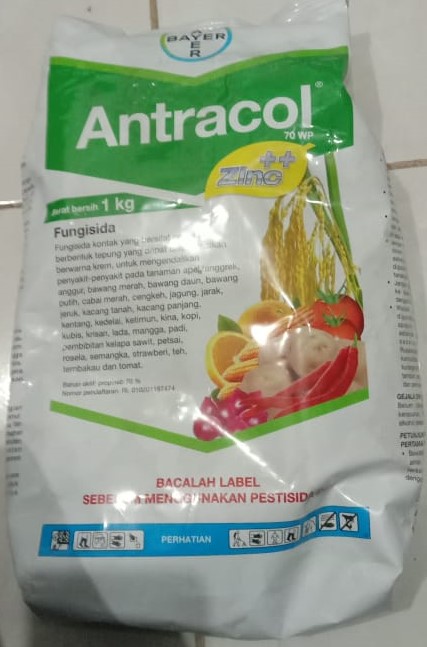 ANTRACOL 70WP Fungisida 1 kg 