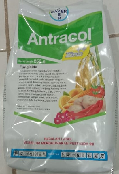 ANTRACOL 70WP Fungisida 250 g